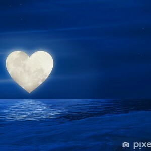 Team Page: Team Luna